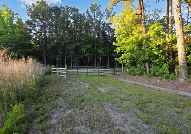 Homes for sale in Hemingway, SC | Tbd Chair Rd, Hemingway, SC 29554 | MLS# 2612080