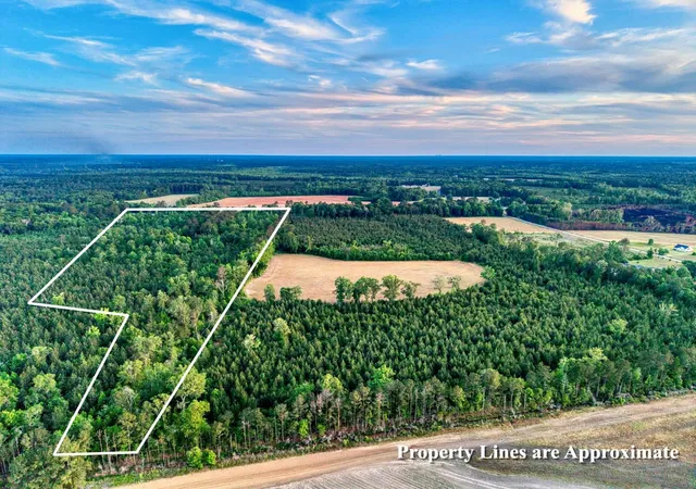 Homes for sale in Greeleyville, SC | 240 Guess Rd, Greeleyville, SC 29056 | MLS# 2612086