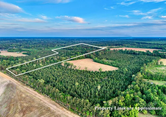 Homes for sale in Greeleyville, SC | 240 Guess Rd, Greeleyville, SC 29056 | MLS# 2612086