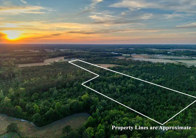 Photo 3 of Sale Pending at 240 Guess Rd, Greeleyville, SC 29056 | MLS# 2612086 | Listing updated on 2026-06-05
