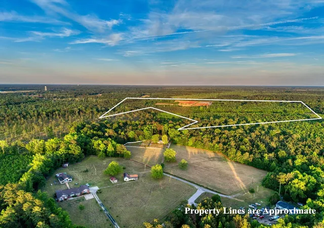 Homes for sale in Greeleyville, SC | Tbd Carroll Rd, Greeleyville, SC 29056 | MLS# 2612087