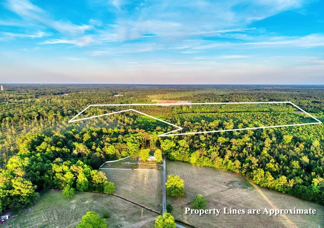 Homes for sale in Greeleyville, SC | Tbd Carroll Rd, Greeleyville, SC 29056 | MLS# 2612087