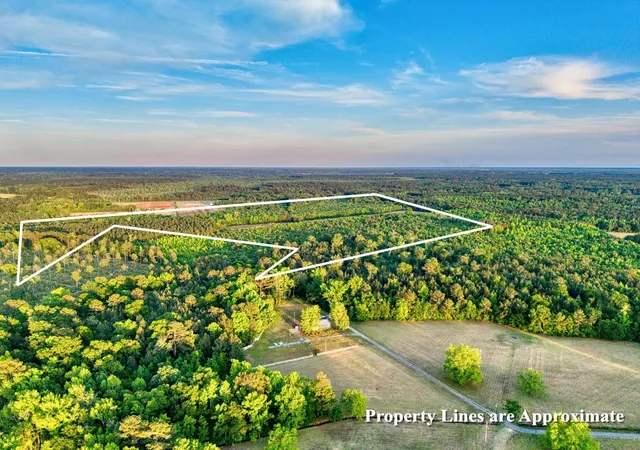 Homes for sale in Greeleyville, SC | Tbd Carroll Rd, Greeleyville, SC 29056 | MLS# 2612087