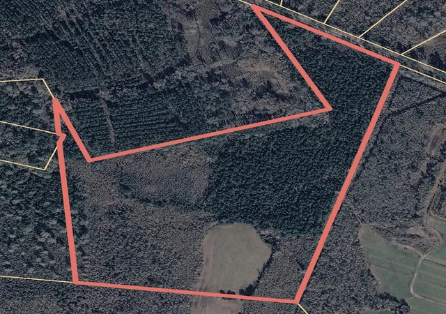 Homes for sale in Greeleyville, SC | Tbd Carroll Rd, Greeleyville, SC 29056 | MLS# 2612087