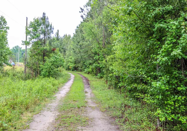5th image of 581 Roberts Rd, Aynor, SC 29511 | MLS# 2612243
