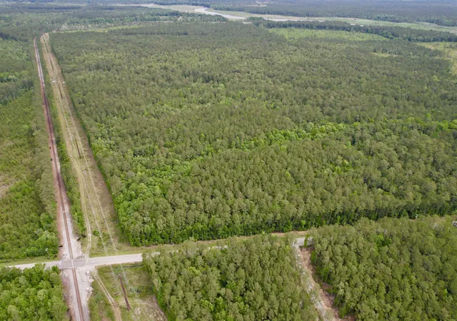 Photo 1 of Land for sale at Tract A   Tbd Pennyroyal Rd, Georgetown, SC 29440 | MLS# 2612333 | Listing updated on 2026-09-25