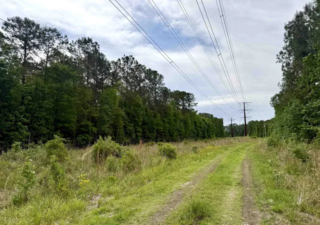 Photo 2 of Land for sale at Tract A   Tbd Pennyroyal Rd, Georgetown, SC 29440 | MLS# 2612333 | Listing updated on 2026-09-25