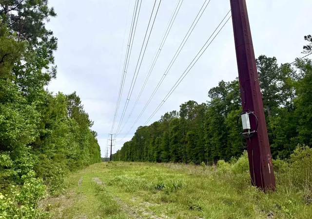 Photo 3 of Land for sale at Tract A   Tbd Pennyroyal Rd, Georgetown, SC 29440 | MLS# 2612333 | Listing updated on 2026-09-25