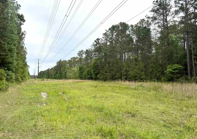 Photo 3 of Land for sale at Tract A - Tbd Pennyroyal Rd, Georgetown, SC 29440 | MLS# 2612333 | Listing updated on 2026-09-25