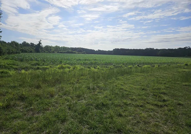 Photo 1 of Sale Pending at 40ac Willoughby Rd, Nichols, SC 29581 | MLS# 2612384 | Listing updated on 2026-08-26