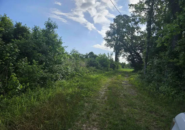 Photo 2 of Sale Pending at 40ac Willoughby Rd, Nichols, SC 29581 | MLS# 2612384 | Listing updated on 2026-08-26
