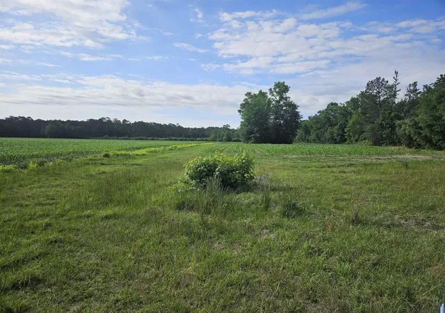 Photo 3 of Sale Pending at 40ac Willoughby Rd, Nichols, SC 29581 | MLS# 2612384 | Listing updated on 2026-08-26