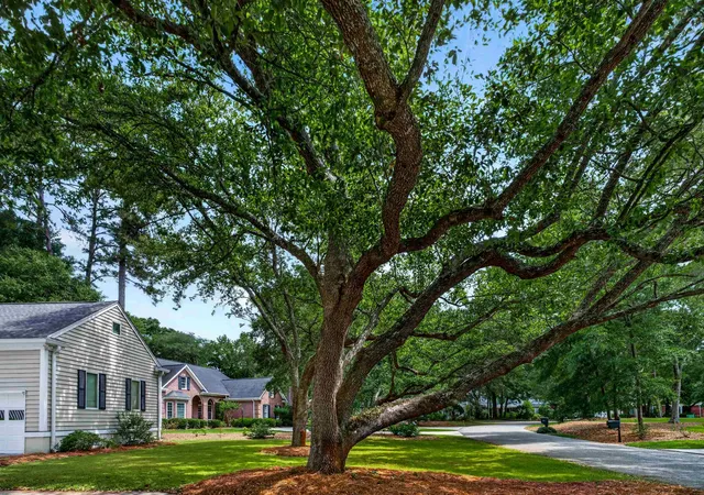 Homes for sale in Pawleys Island, SC | 103 Goodson Loop, Pawleys Island, SC 29585 | MLS# 2612473