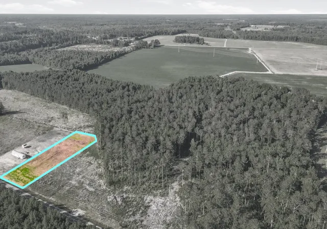Homes for sale in Marion, SC | Tbd Sawyer Rd, Marion, SC 29571 | MLS# 2612556
