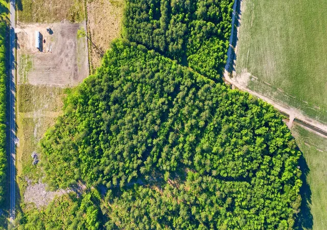 3rd image of Tbd Sawyer Rd, Marion, SC 29571 | MLS# 2612556