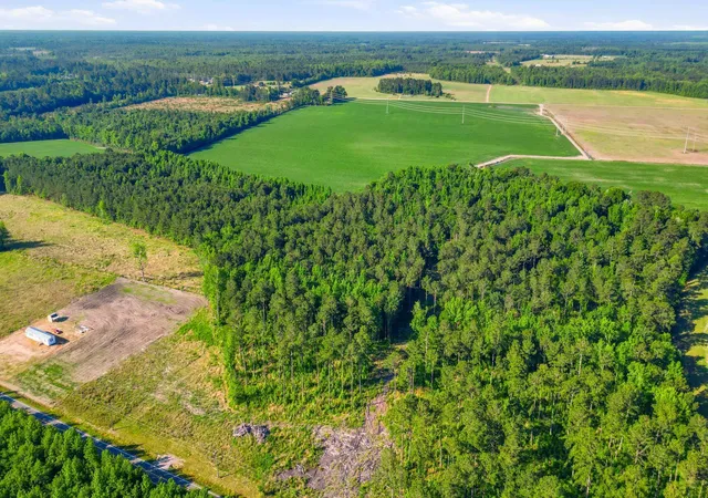 4th image of Tbd Sawyer Rd, Marion, SC 29571 | MLS# 2612556
