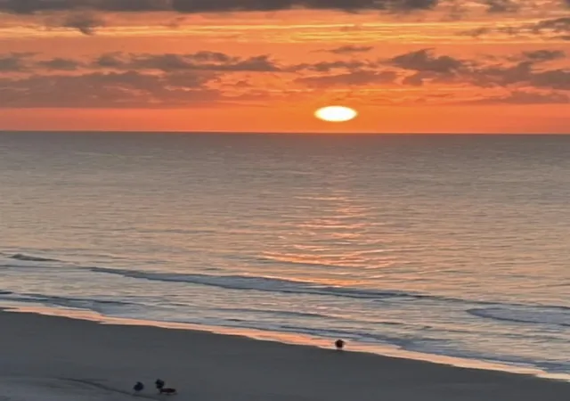 4th image of 2401 S Ocean Blvd, Myrtle Beach, SC 29577