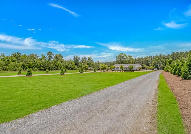 Homes for sale in Andrews, SC | 15810 County Line Rd, Andrews, SC 29510 | MLS# 2612669