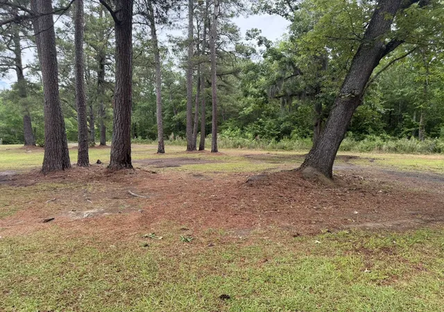 Homes for sale in Kingstree, SC | 1389 Isabella Rd, Kingstree, SC 29556 | MLS# 2612877