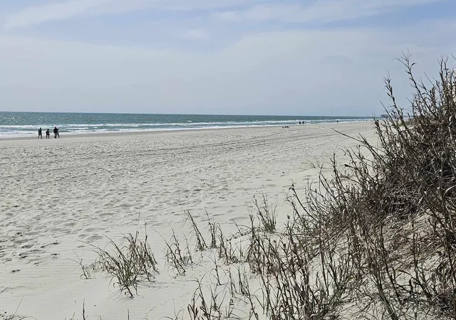 Homes for sale in Surfside Beach, SC | 430 Pampas Dr, Surfside Beach, SC 29575 | MLS# 2613175