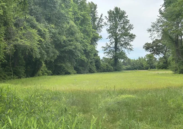 Homes for sale in Green Sea, SC | 2680 Green Sea Rd, Green Sea, SC 29545 | MLS# 2613221