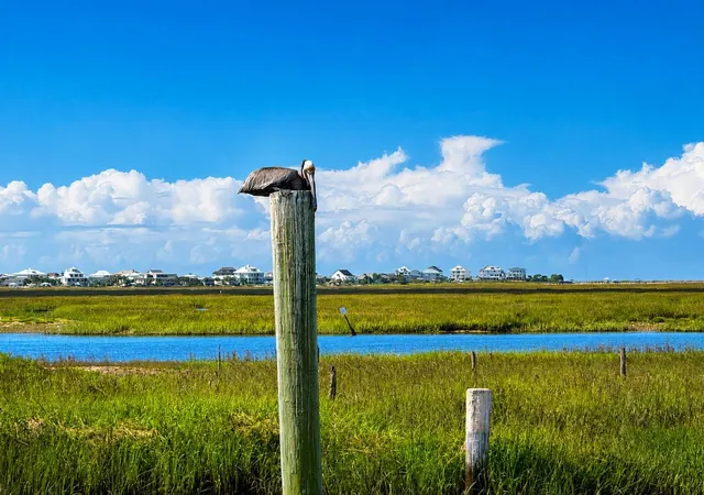 29th image of 151 Crooked Island Circle, Murrells Inlet, SC 29576 | MLS# 2613331