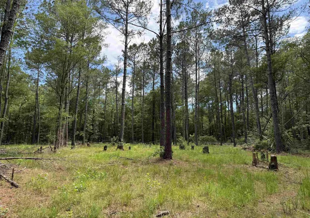 Photo 1 of Land for sale at 178 Acres 5871 Pennyroyal Rd, Georgetown, SC 29440 | MLS# 2613489 | Listing updated on 2026-07-16