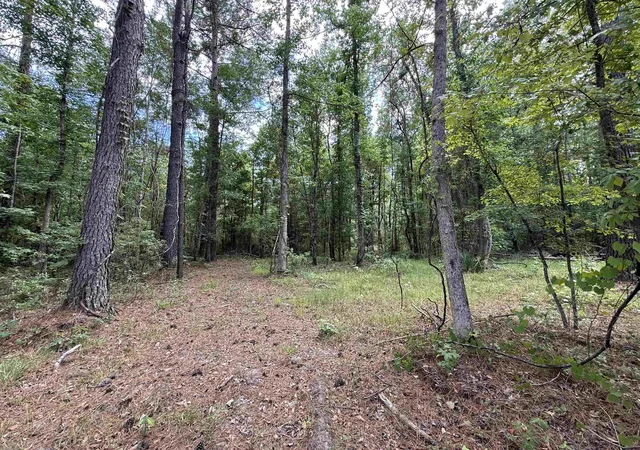 Photo 2 of Land for sale at 178 Acres 5871 Pennyroyal Rd, Georgetown, SC 29440 | MLS# 2613489 | Listing updated on 2026-07-16