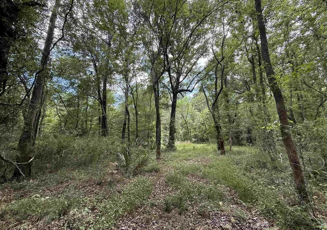 Photo 3 of Land for sale at 178 Acres 5871 Pennyroyal Rd, Georgetown, SC 29440 | MLS# 2613489 | Listing updated on 2026-07-16