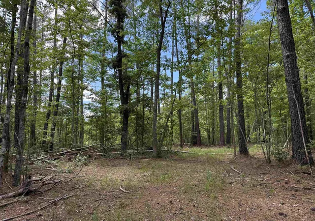 Photo 4 of Land for sale at 178 Acres-5871 Pennyroyal Rd, Georgetown, SC 29440 | MLS# 2613489 | Listing updated on 2026-07-16
