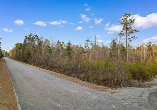 Homes for sale in Green Sea, SC | Tbd Fowler School Rd, Green Sea, SC 29545 | MLS# 2613499