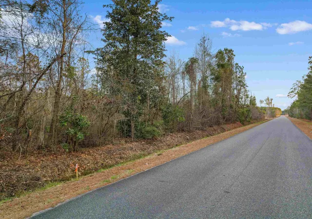 Homes for sale in Green Sea, SC | Tbd Fowler School Rd, Green Sea, SC 29545 | MLS# 2613499