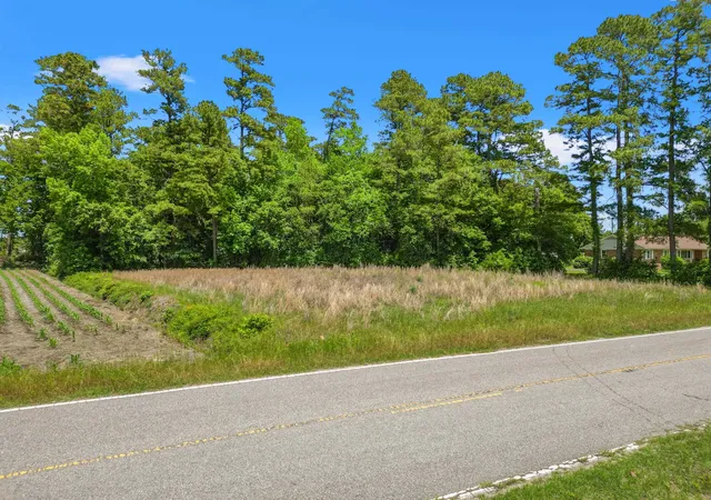 Homes for sale in Nichols, SC | 3895 Hwy 430, Nichols, SC 29581 | MLS# 2613783