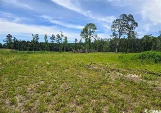 Homes for sale in Green Sea, SC | Mount Olive Church Rd, Green Sea, SC 29545 | MLS# 2613813