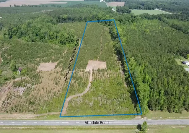 Homes for sale in Blenheim, SC | Lot 4 Attadale Rd, Blenheim, SC 29516 | MLS# 2613878