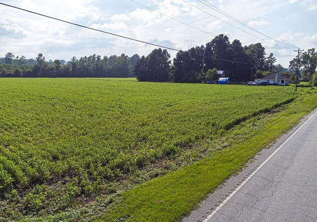 Homes for sale in Nichols, SC | Tbd Hwy 9 W, Nichols, SC 29581 | MLS# 2613889