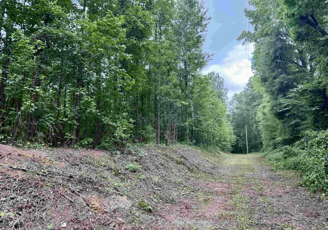 Homes for sale in Salters, SC | 18 Acres   Tbd Driffin Ln, Salters, SC 29590 | MLS# 2614146