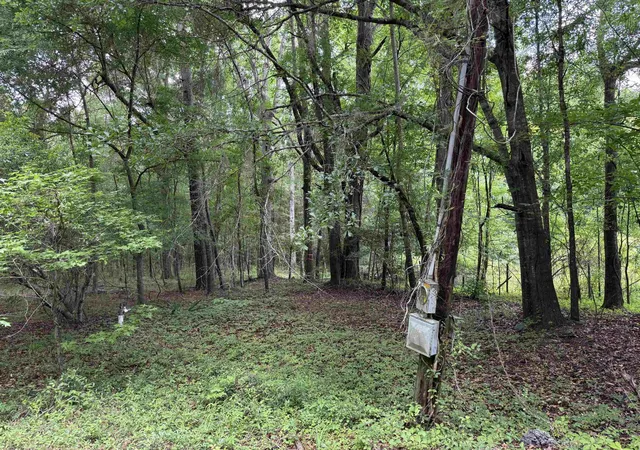 Homes for sale in Salters, SC | 18 Acres   Tbd Driffin Ln, Salters, SC 29590 | MLS# 2614146