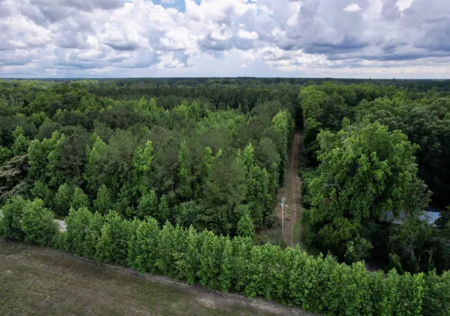 Homes for sale in Salters, SC | 18 Acres - Tbd Driffin Ln, Salters, SC 29590 | MLS# 2614146