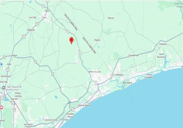 5th image of Tbd111 Cedar Branch Rd, Loris, SC 29569 | MLS# 2614191