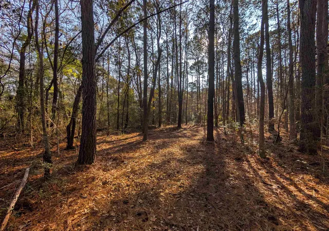 3rd image of 3799 N Hwy 17, Awendaw, SC 29429 | MLS# 2614358