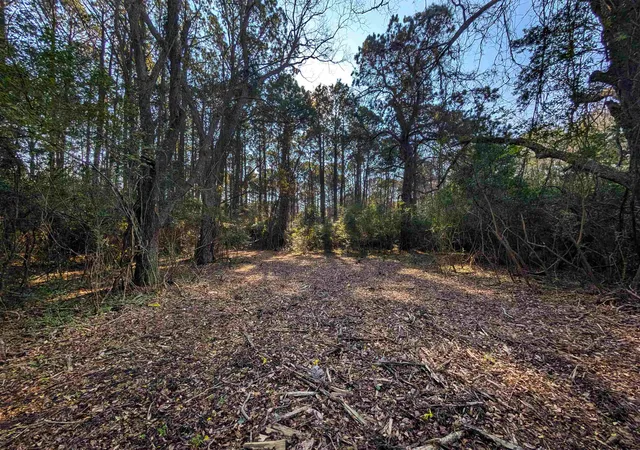 4th image of 3799 N Hwy 17, Awendaw, SC 29429 | MLS# 2614358