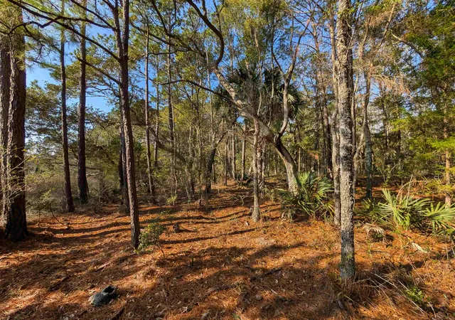 5th image of 3799 N Hwy 17, Awendaw, SC 29429 | MLS# 2614358