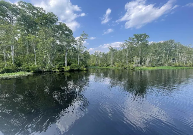 3rd image of Tbd8 Francis Marion Dr, Georgetown, SC 29440 | MLS# 2614762
