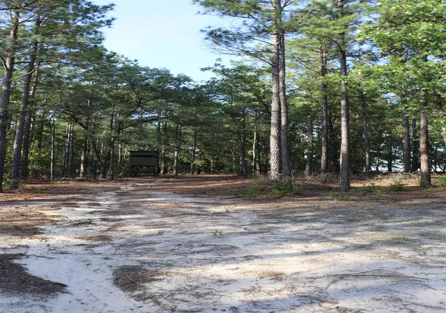 Photo 29 of Sale Pending at 2631 Charlie Johnson Rd, Bethune, SC 29009 | MLS# 2614782 | Listing updated on 2026-08-28