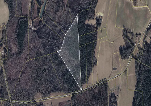 Photo 2 of Land for sale at Tbd (tract 1) Long Branch Swamp Rd, Green Sea, SC 29545 | MLS# 2614826 | Listing updated on 2026-07-30