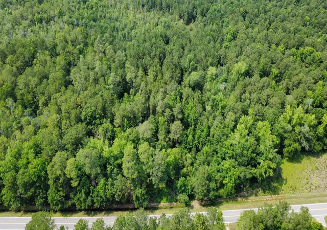 Photo 3 of Land for sale at Tbd (tract 1) Long Branch Swamp Rd, Green Sea, SC 29545 | MLS# 2614826 | Listing updated on 2026-07-30