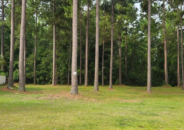 Photo 3 of Sale Pending at 1152 Fiddlehead Way, Myrtle Beach, SC 29579 | MLS# 2614835 | Listing updated on 2026-07-10