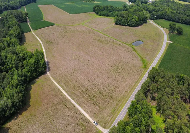 Photo 2 of Land for sale at Tbd (tract 3) Long Branch Swamp Rd, Green Sea, SC 29545 | MLS# 2615011 | Listing updated on 2026-07-29