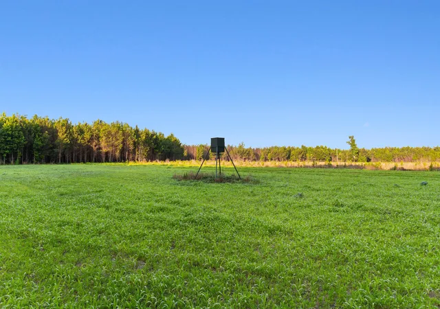 Homes for sale in Johnsonville, SC | 77 Acres   Tbd Bert Hanna Rd, Johnsonville, SC 29555 | MLS# 2615213